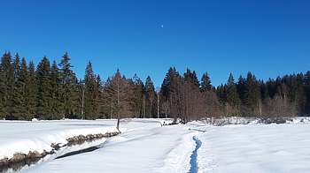 Klosterfilz im Winter